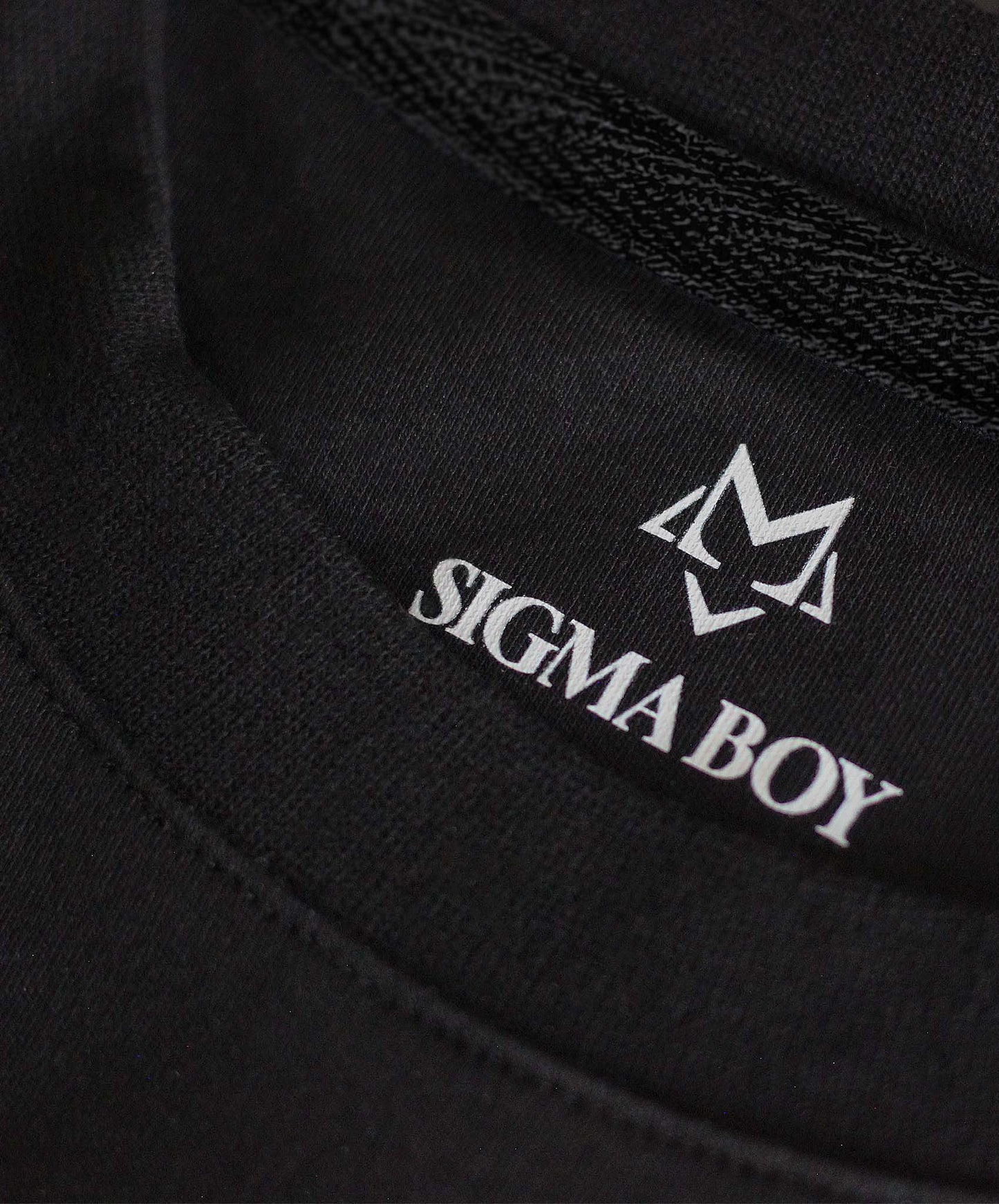 The Sigma Boy t-shirt