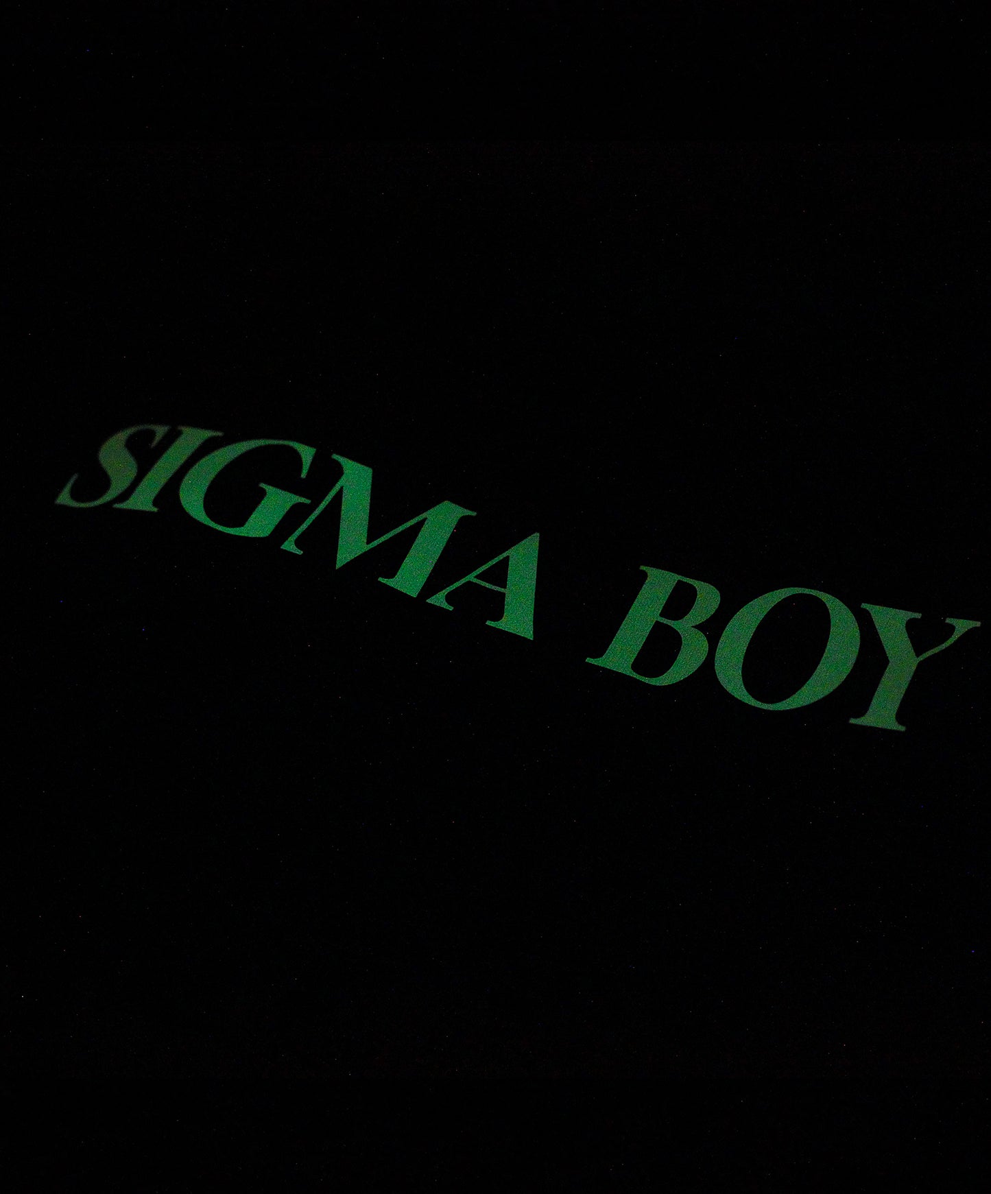 The Sigma Boy t-shirt